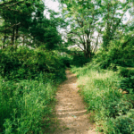 Servitude de passage