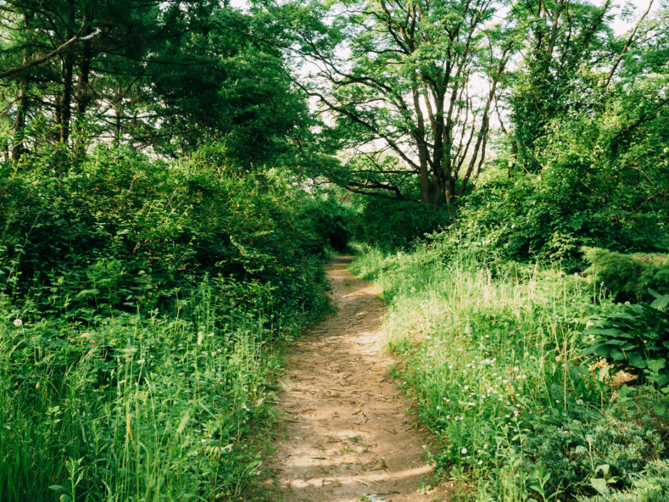 Servitude de passage