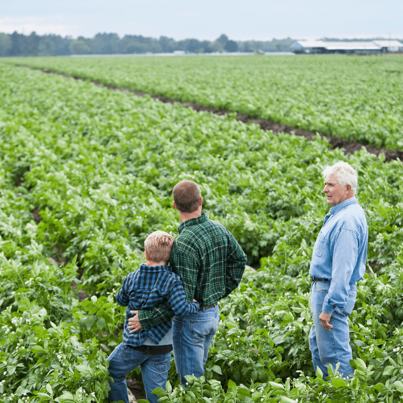 Reprise et transmission